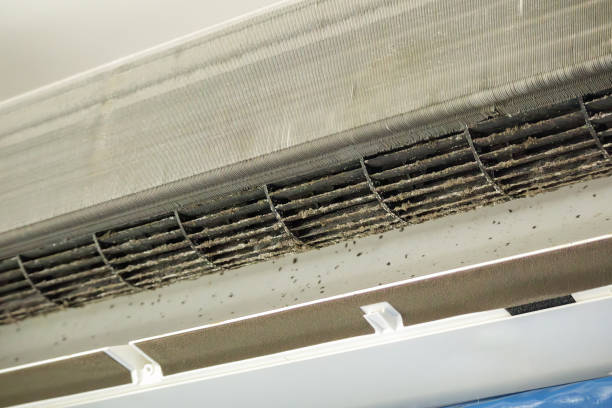 Best Best Air Duct Cleaning Company  in Nipomo, CA